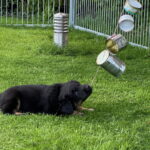 S-Birrfeld_6Wo_26