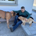 Sten lernt seine zukünftigen WG-Partner auf 4 Pfoten kennen: Ein Rhodesian Ridgeback- und ein Dackelrüde