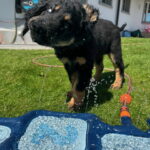 ... Wasserschlachten ...
