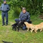 Diesen Polizisten hatten die Welpen schnell um die Pfoten gewickelt.