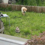 Saskia zu Besuch bei Freunden