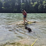 Wasserratte Simba