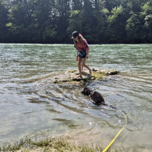 Wasserratte Simba