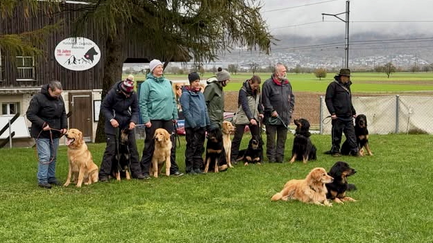 Von links: Sten, Skyla, Sammy, Simba, Saskia, Saburo, Grosspapa Merlin und Sunny.Vorne: Grossmama Melua und Mama Feira