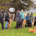 Die S-Birrfeld Familie