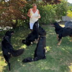 Wurftreffen_S-lis_11.07.26-1