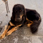 Wurftreffen_S-lis_11.07.26-7