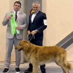 Boss_2