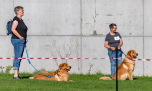 Sammy und Sten